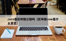 core是区块链公链吗(区块链cow是什么意思)