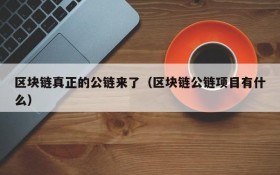 区块链真正的公链来了(区块链公链项目有什么)