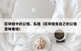 区块链中的公链、私链(区块链有自己的公链意味着啥)