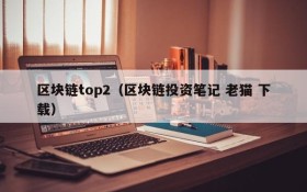 区块链top2(区块链投资笔记 老猫 下载)