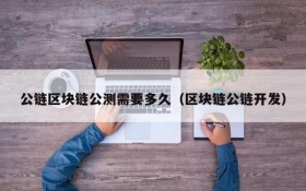 公链区块链公测需要多久(区块链公链开发)