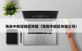 海南中网深链区块链(海南中园区块链公司)