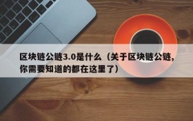 区块链公链3.0是什么（关于区块链公链,你需要知道的都在这里了）