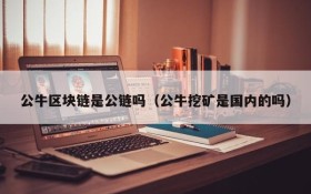 公牛区块链是公链吗(公牛挖矿是国内的吗)