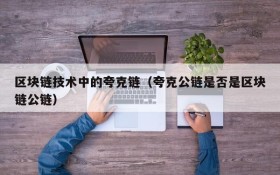 区块链技术中的夸克链(夸克公链是否是区块链公链)
