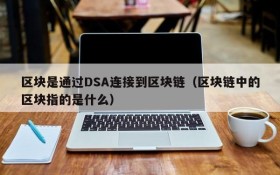 区块是通过DSA连接到区块链（区块链中的区块指的是什么）