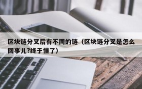 区块链分叉后有不同的链(区块链分叉是怎么回事儿?终于懂了)