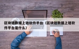 区块链数据上链软件平台(区块链数据上链软件平台是什么)