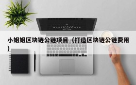 小姐姐区块链公链项目(打造区块链公链费用)