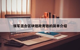 领军混合区块链政务链的简单介绍
