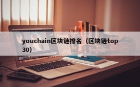 youchain区块链排名（区块链top30）