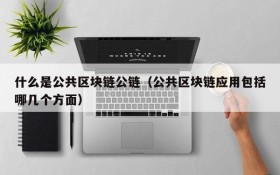 什么是公共区块链公链(公共区块链应用包括哪几个方面)