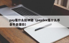 pay是什么区块链（paydex是什么币会不会涨价）