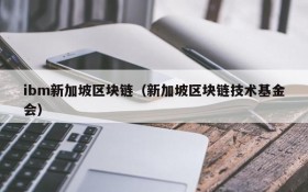 ibm新加坡区块链（新加坡区块链技术基金会）