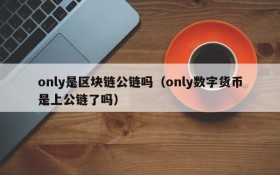 only是区块链公链吗(only数字货币是上公链了吗)