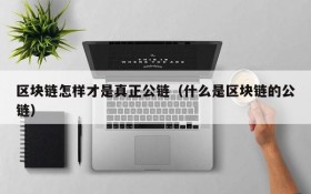 区块链怎样才是真正公链(什么是区块链的公链)
