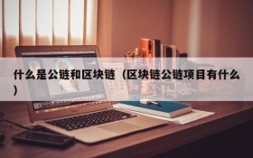 什么是公链和区块链(区块链公链项目有什么)