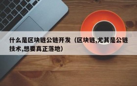 什么是区块链公链开发(区块链,尤其是公链技术,想要真正落地)