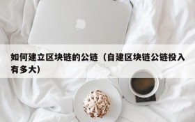 如何建立区块链的公链(自建区块链公链投入有多大)