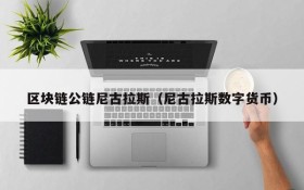 区块链公链尼古拉斯(尼古拉斯数字货币)
