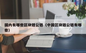 国内有哪些区块链公链(中国区块链公链有哪些)