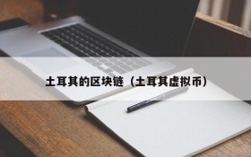 土耳其的区块链(土耳其虚拟币)