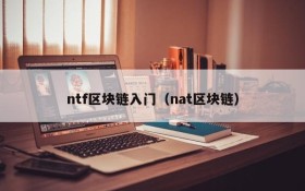 ntf区块链入门（nat区块链）