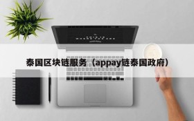 泰国区块链服务(appay链泰国政府)