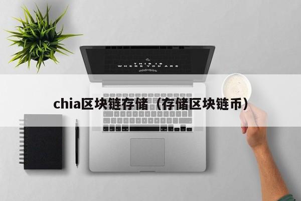 chia区块链存储（存储区块链币）