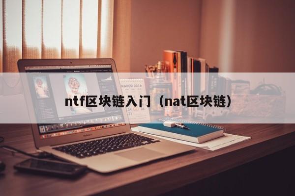 ntf区块链入门（nat区块链）