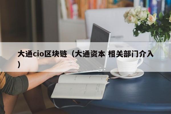 大通cio区块链（大通资本 相关部门介入）