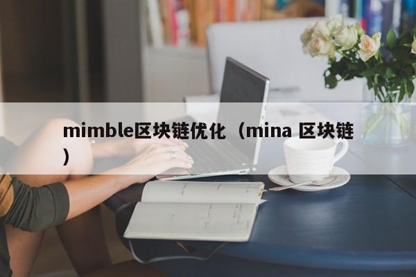 mimble区块链优化（mina 区块链）