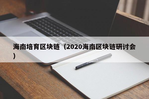 海南培育区块链（2020海南区块链研讨会）