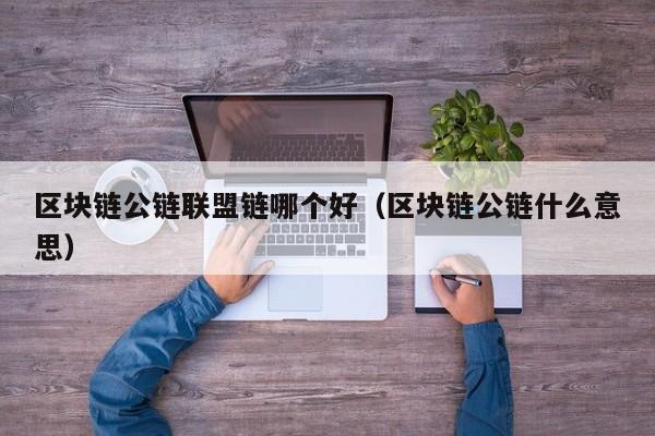 区块链公链联盟链哪个好（区块链公链什么意思）