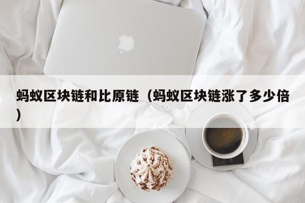 蚂蚁区块链和比原链（蚂蚁区块链涨了多少倍）