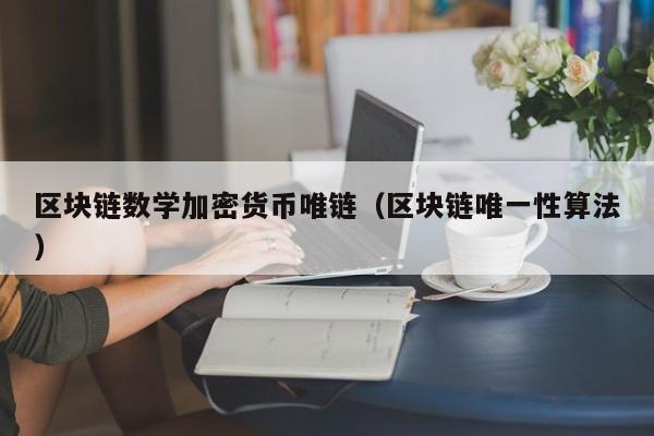 区块链数学加密货币唯链（区块链唯一性算法）