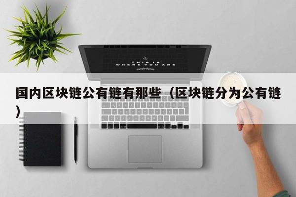 国内区块链公有链有那些（区块链分为公有链）