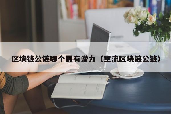 区块链公链哪个最有潜力（主流区块链公链）