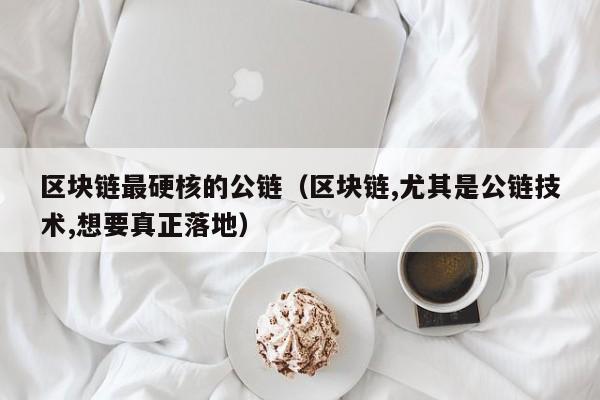 区块链最硬核的公链（区块链,尤其是公链技术,想要真正落地）