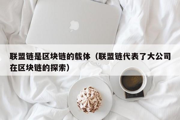 联盟链是区块链的载体（联盟链代表了大公司在区块链的探索）