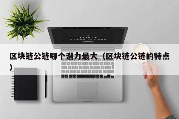 区块链公链哪个潜力最大（区块链公链的特点）