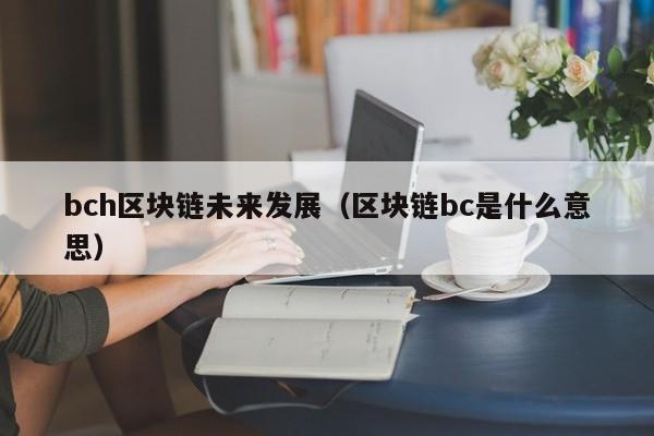bch区块链未来发展（区块链bc是什么意思）
