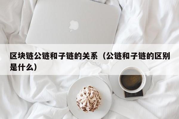 区块链公链和子链的关系（公链和子链的区别是什么）