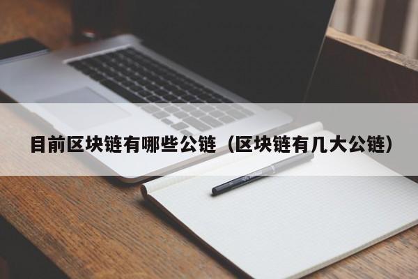 目前区块链有哪些公链（区块链有几大公链）