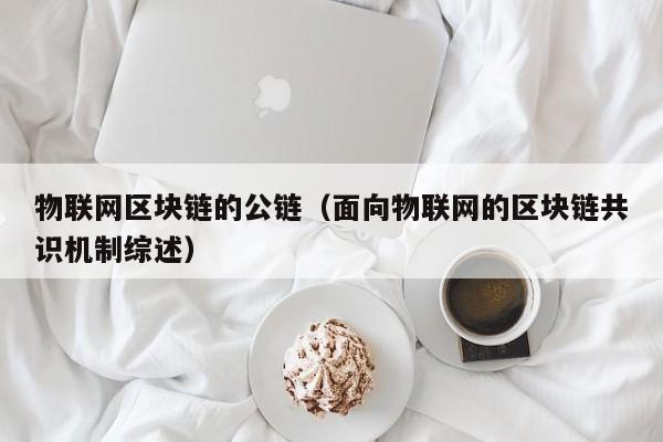 物联网区块链的公链（面向物联网的区块链共识机制综述）