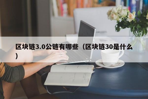 区块链3.0公链有哪些（区块链30是什么）