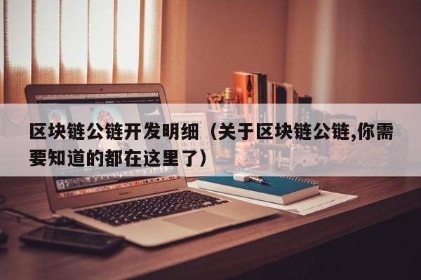 区块链公链开发明细（关于区块链公链,你需要知道的都在这里了）