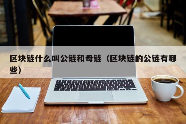 区块链什么叫公链和母链（区块链的公链有哪些）