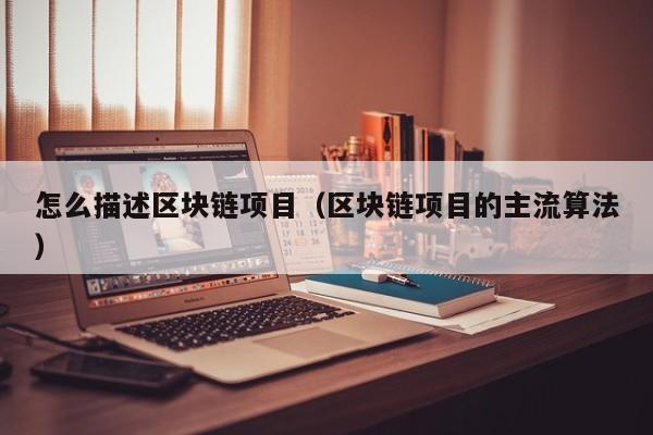 怎么描述区块链项目（区块链项目的主流算法）