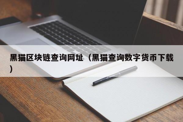 黑猫区块链查询网址（黑猫查询数字货币下载）